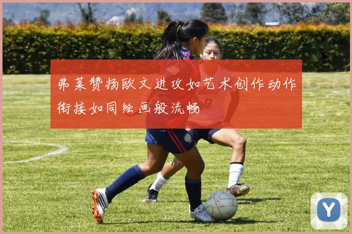弗莱赞扬欧文进攻如艺术创作动作衔接如同绘画般流畅