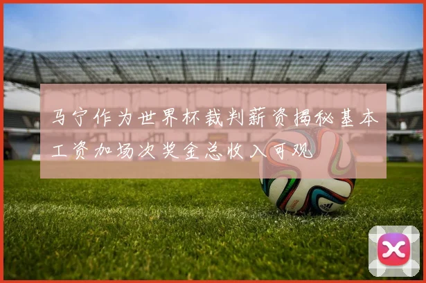 马宁作为世界杯裁判薪资揭秘基本工资加场次奖金总收入可观